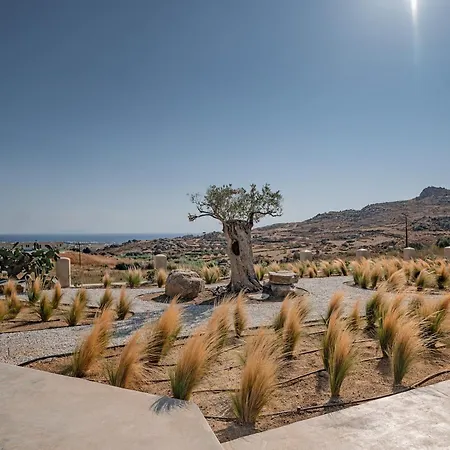 Villa Terra & Olive Naxos Kastrákion